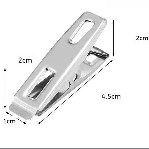 Lot de 40 Petites Pinces à Linge en Inox